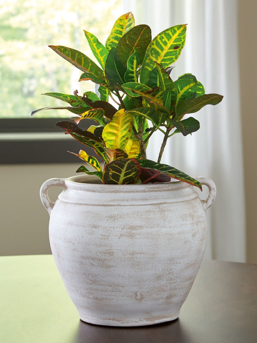 Meadie - 9" Vase - Image 4