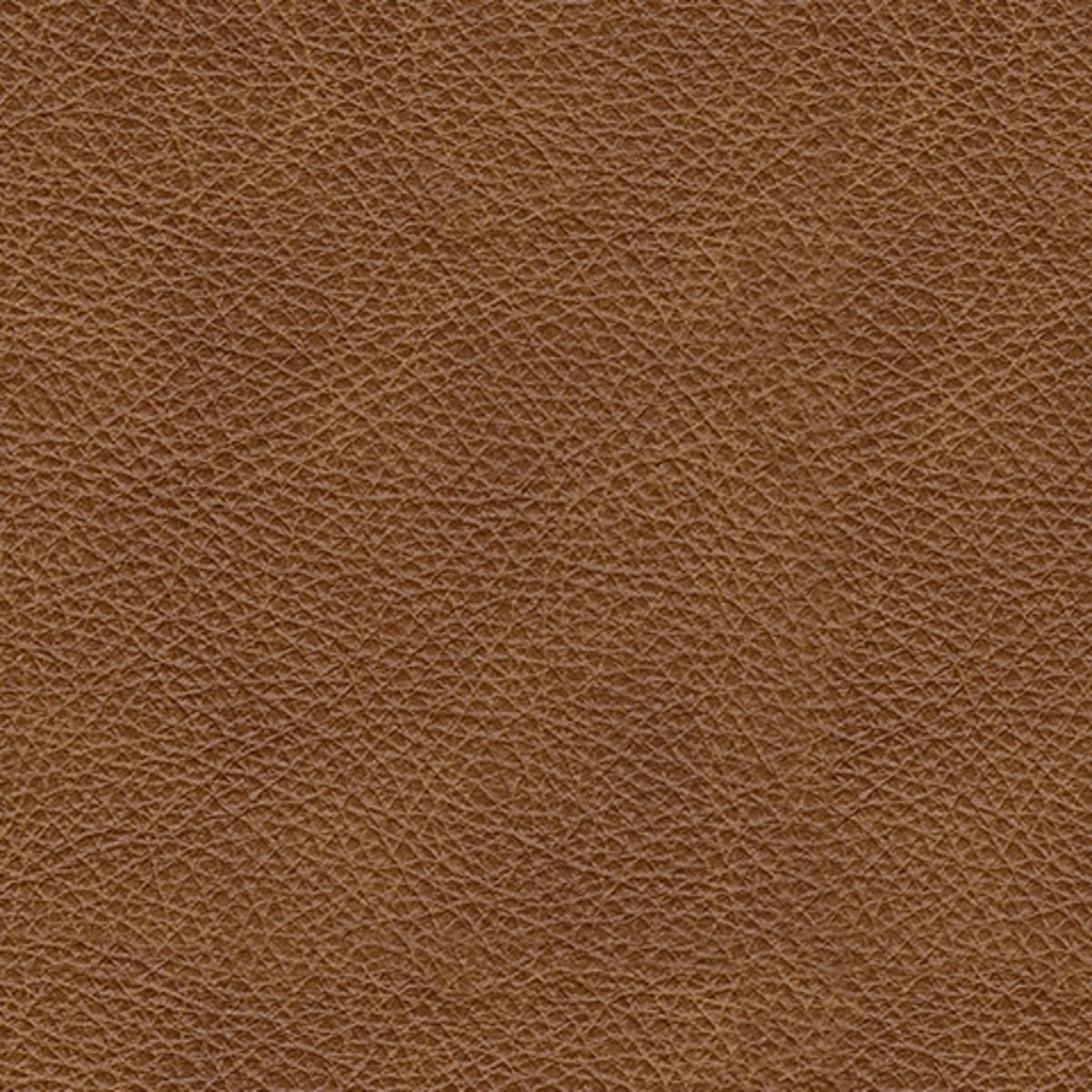 Emilia - 2 Pc. - 2-Piece Sectional Loveseat, Ottoman - Caramel - Image 2