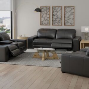 Ferrara - Power Adjustable Headrest Power Reclining Console Loveseat With USB / USB-C & Power Zero Gravity - Black